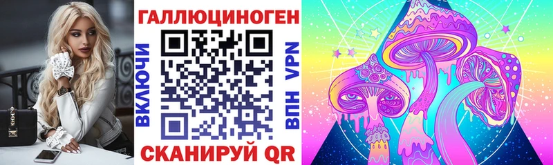 OMG как войти  Камызяк  Галлюциногенные грибы Magic Shrooms 