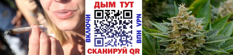 Конопля OG Kush  Камызяк 